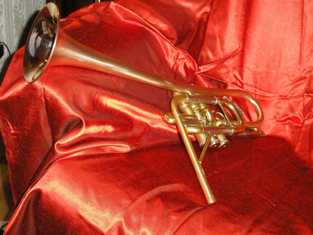 Read more about the article Sax Trumpet