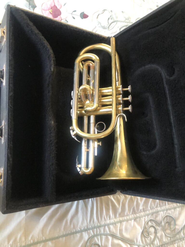 Read more about the article Blessing B120 Cornet