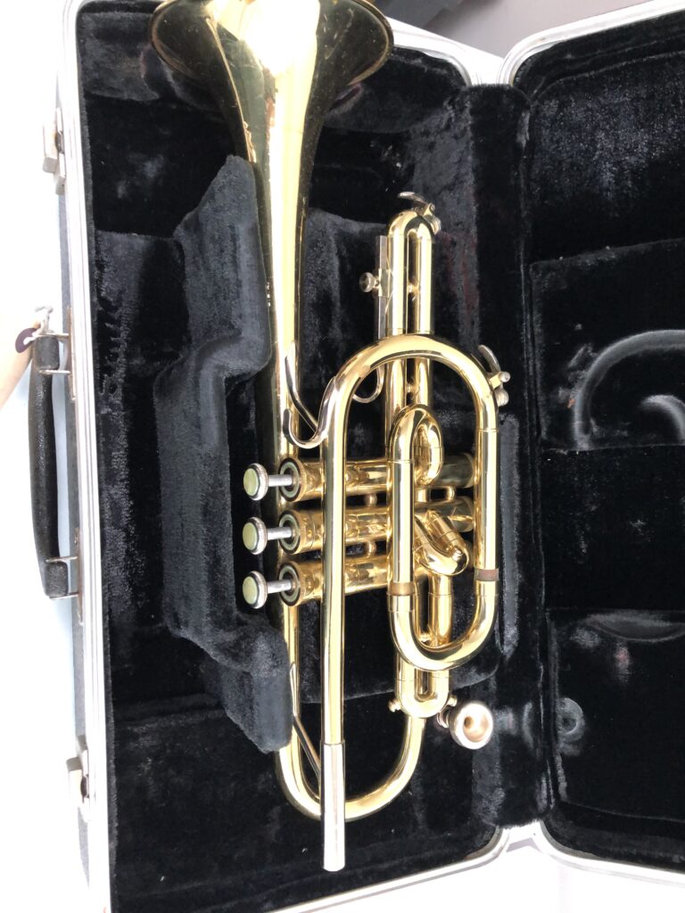 Read more about the article Bach 1001 Cornet
