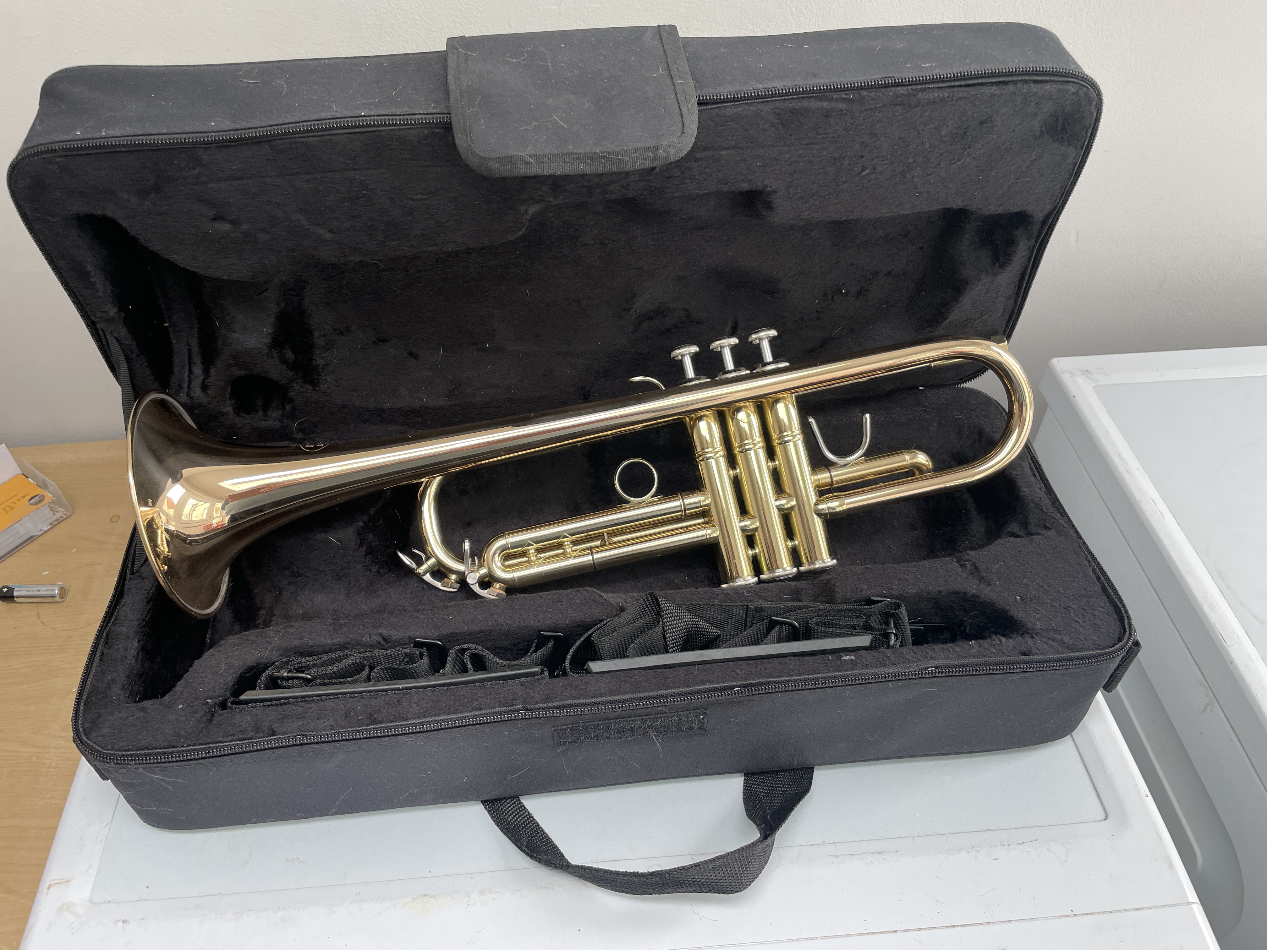 Read more about the article CG Professional Trumpet TR 600