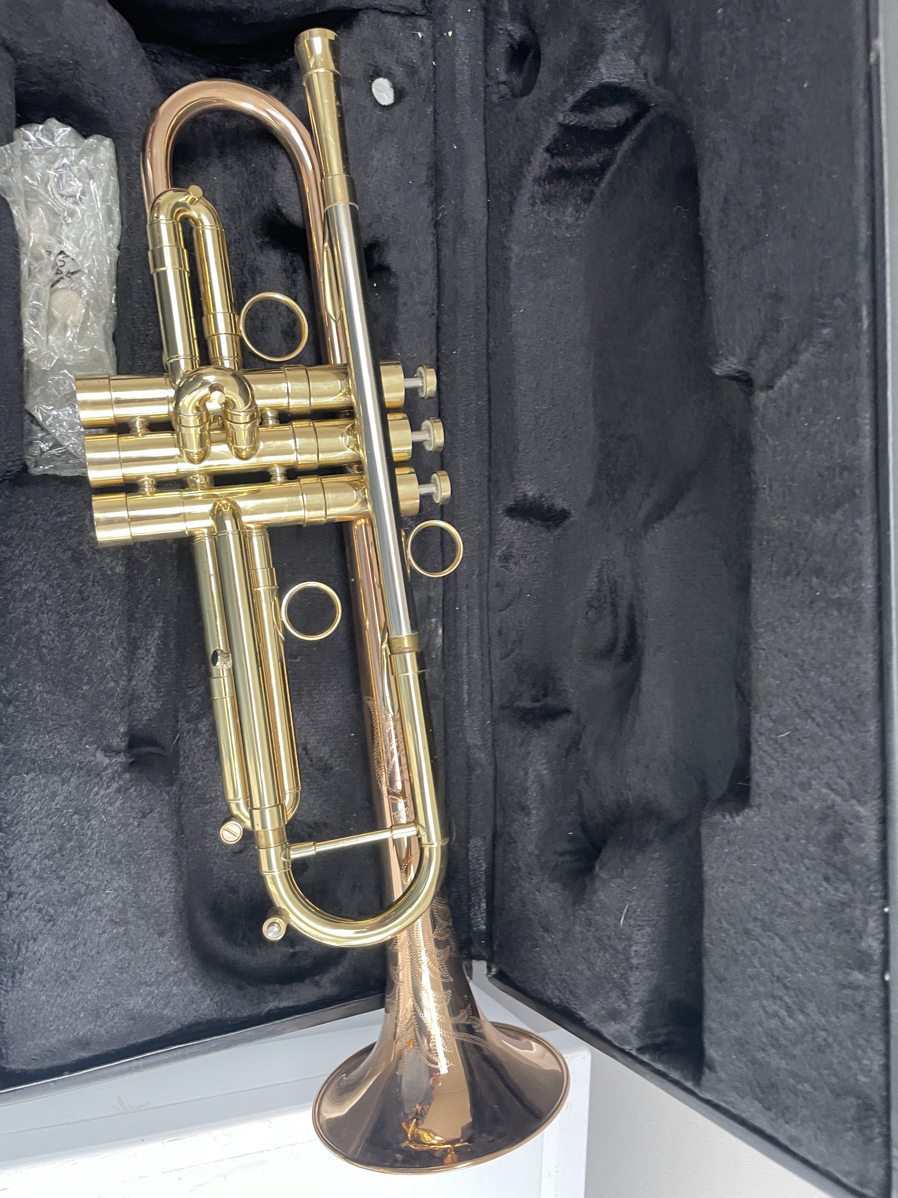 Read more about the article Berkley Heavy Weight Trumpet