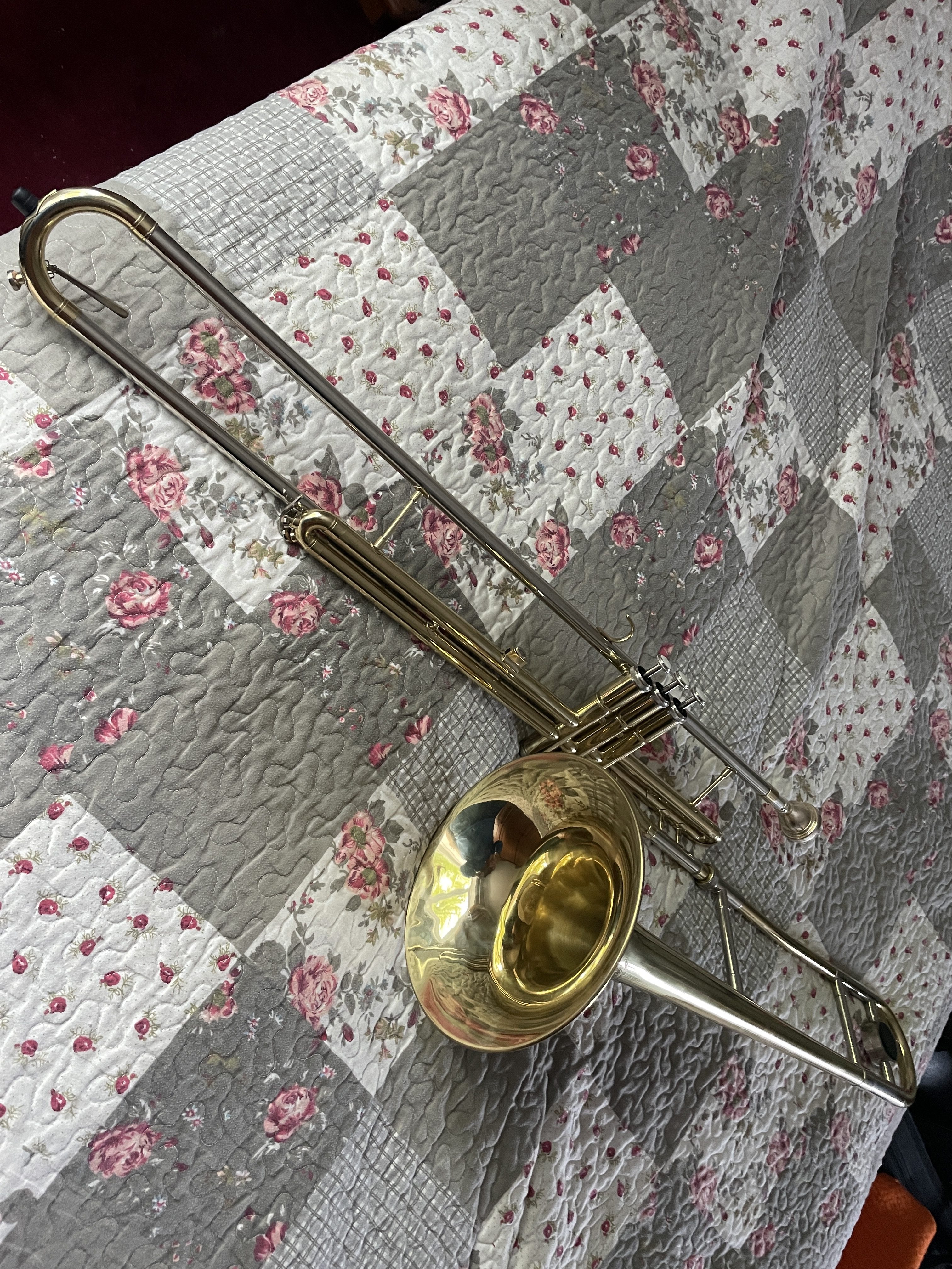 Read more about the article Sebastian Buckley Valve Trombone